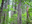 North-Cascades-02.jpg