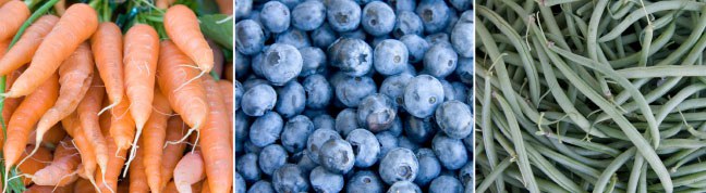 Foodshed-Section-Intro