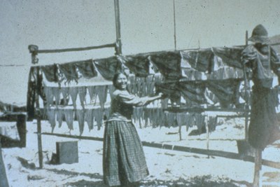 drying salmon