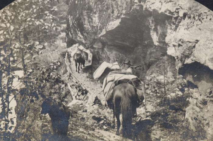 devils elbow