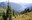 2021_SWCF_SenseOfPlace.jpg