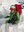 AlpineAdv_WatermelonSnow_Feature1.jpg