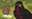 2022_GiftCertificates_3-upPortlet.jpg