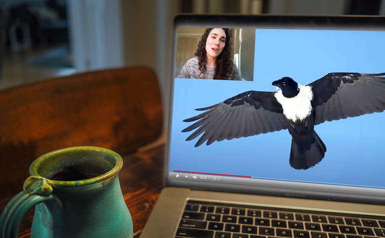 VirtualAdFamClasses_PortletImage.jpg