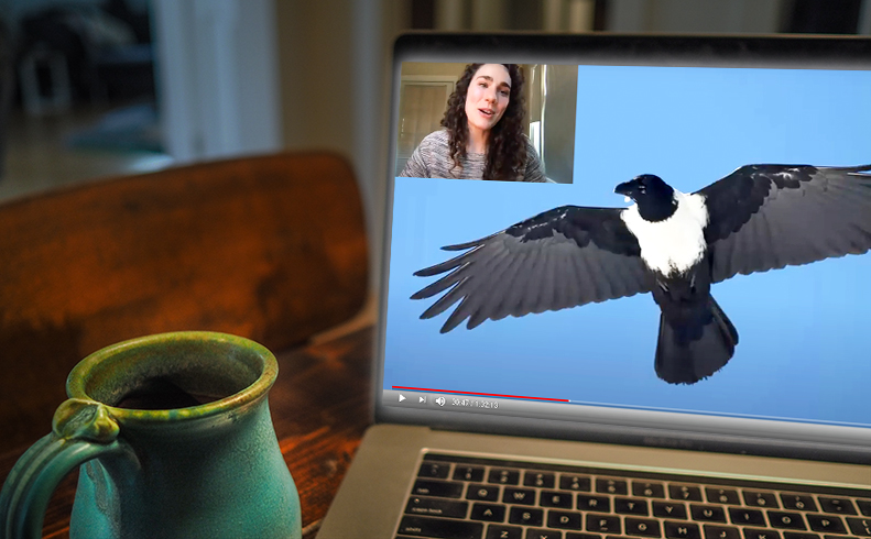 VirtualAdFamClasses_PortletImage.jpg