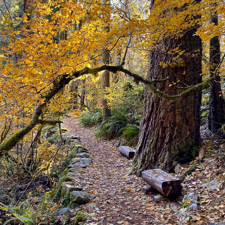 2025FallGathering_inset1.jpg 2025FallGathering_inset1.jpg