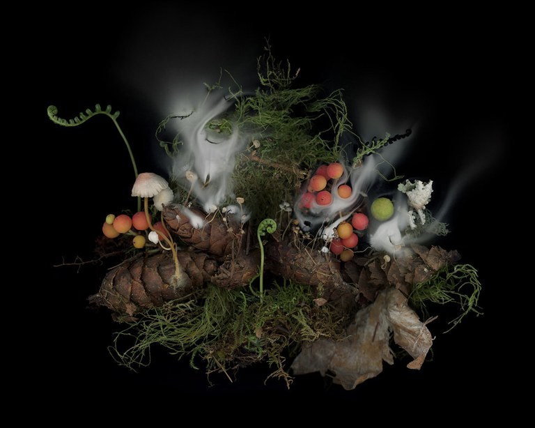 mhurstfrye-offering1_orig.jpg mhurstfrye-offering1_orig.jpg