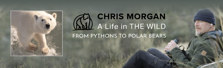 Screenshot 2023-09-12 at 15.19.32.png