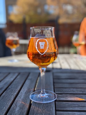 Aslan sunny pint.jpg