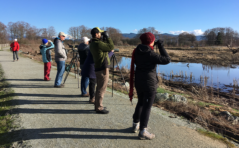 2019 Winter Birding Page.jpg