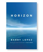 2019-NOW-Cover-Horizon.jpg