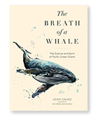 2019-NOW-Cover-Whale.jpg