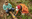 NCI-Base-Camp-activity.png