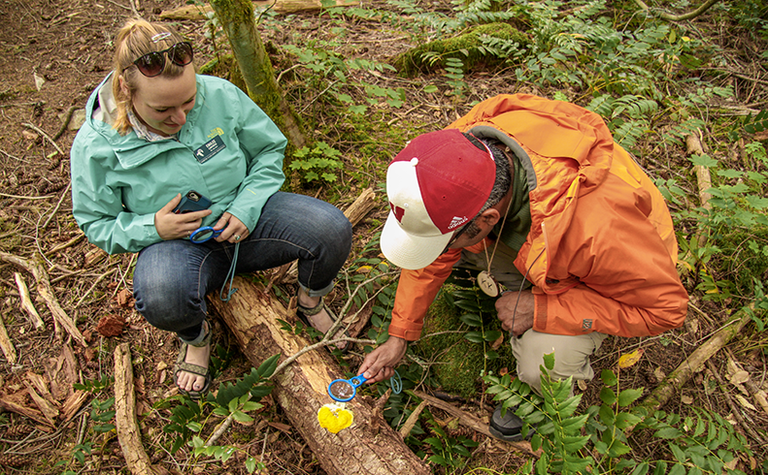 NCI-Base-Camp-activity.png