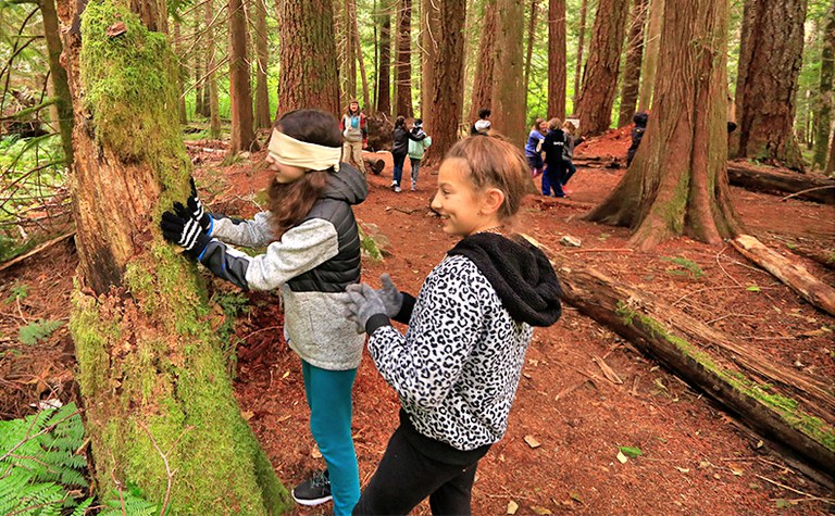Mountain-School-Curriculum.jpg