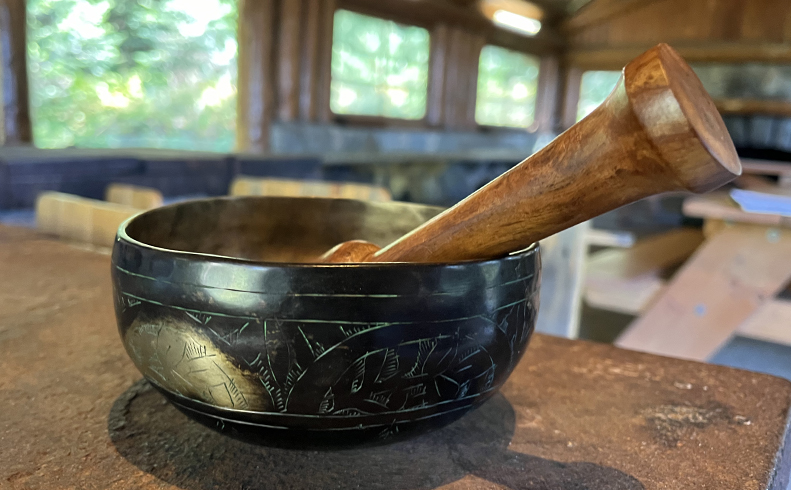 Writing Our Way to a Deeper Connection with the Natural World