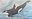 Drawing and Painting Orcas - Online