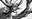 Drawing Winter Trees in Graphite - Online
