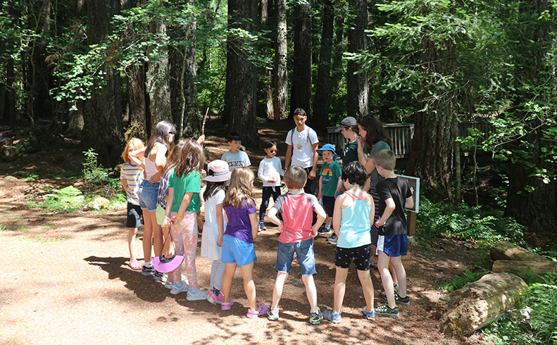 Family Getaway - Mid August 2026