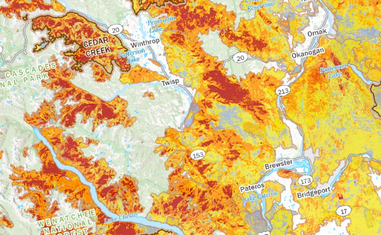 Fire Ecology of Western Washington: Past, Present & Future - Online
