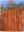 2021_AdFam_ArtistsLens_inset2.jpg