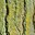 2021_EvanHolmstrom_feature2.jpg