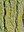 2021_EvanHolmstrom_feature2.jpg