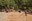 2021_FallStewardship_feature2.jpg