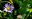 2021_MariSchramm_feature2.jpg
