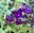 2021_MariSchramm_feature6.jpg