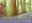 2021_NatOfWriting-Fall_topimage.jpg