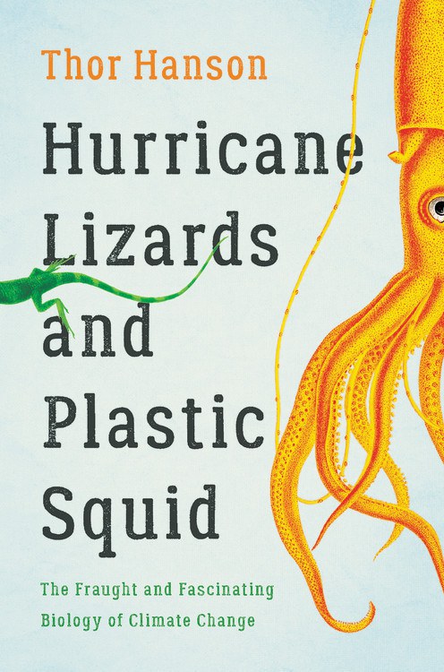 2021_NoW_HurricaneLizards.jpg