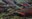 2021_TribalFishMngmt_topimage.jpg