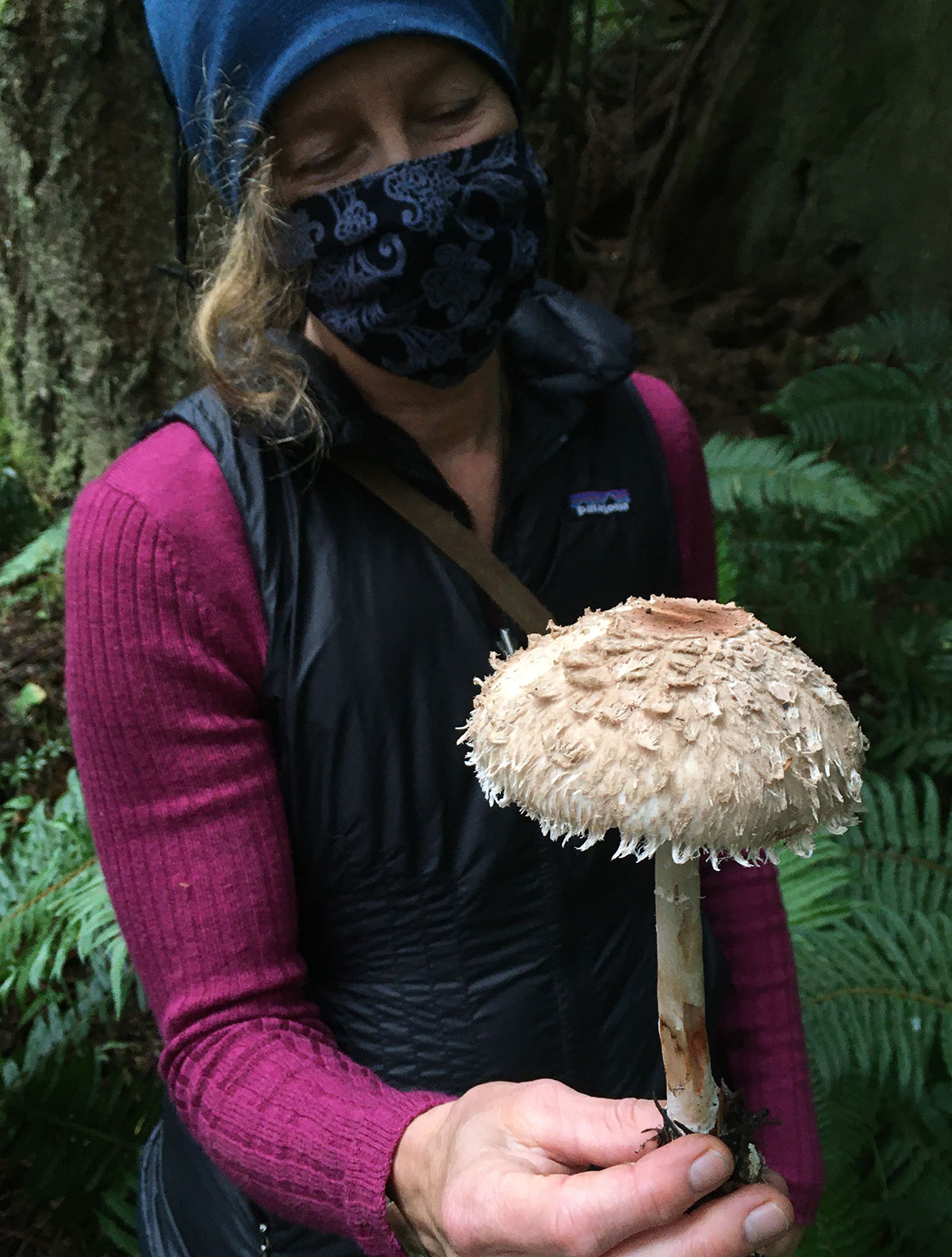 2022_BefriendingFungi_inset1.jpg