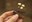 2022_BefriendingFungi_inset2.jpg