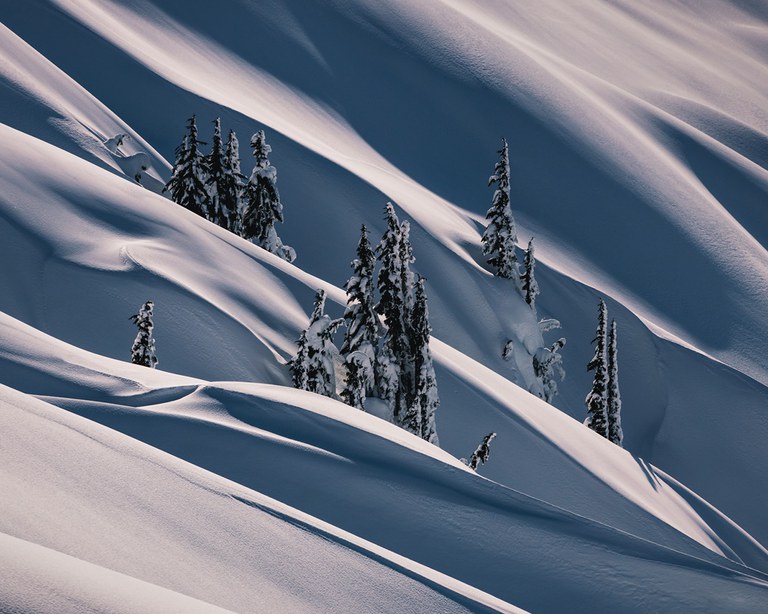2022_LandscapePhoto_inset2.jpg