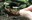 2022_MushroomsCascadia_inset6.jpg
