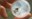 2022_NWPollinators_topimage.jpg