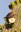 2022_Owl&Woodpecker_inset3.jpg