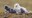2022_OwlYearinLife_Inset5.jpg