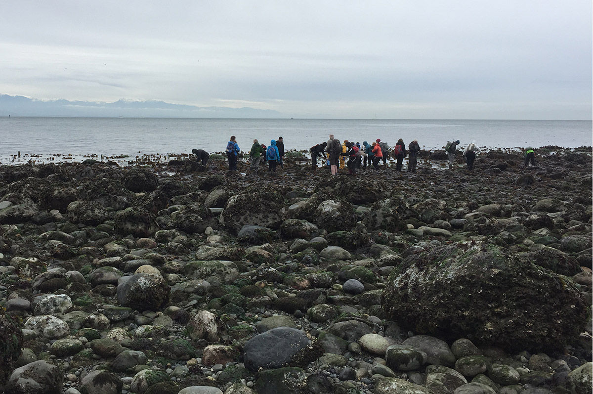 2022_SalishSeaweed_inset1.jpg