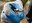 2022_SpringStewardshipWknd_inset3.jpg