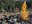2023_AutumnWatercolor_inset4.jpg