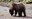 2023_Grizzlies_Frances-Backhouse_inset1.jpg