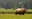 2023_Grizzlies_Frances-Backhouse_inset2.jpg