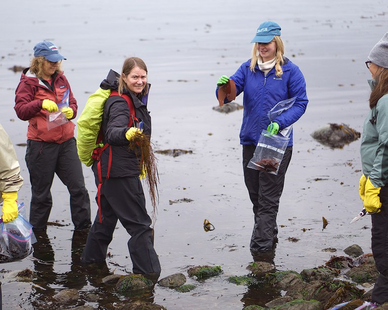 2023_SeaweedGarden_inset2.jpg