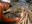 2023_WildernessSurvival_Inset1.jpg