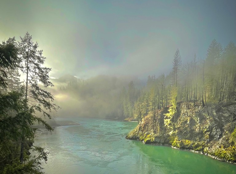 2025AdFam_BaldEagles_inset2.jpg 2025AdFam_BaldEagles_inset2.jpg