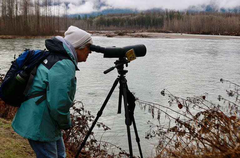 2025AdFam_BaldEagles_inset4.jpg 2025AdFam_BaldEagles_inset4.jpg