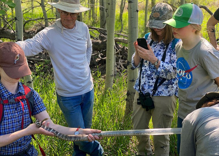 2025AdFam_SnakeCount_inset3.jpg 2025AdFam_SnakeCount_inset3.jpg